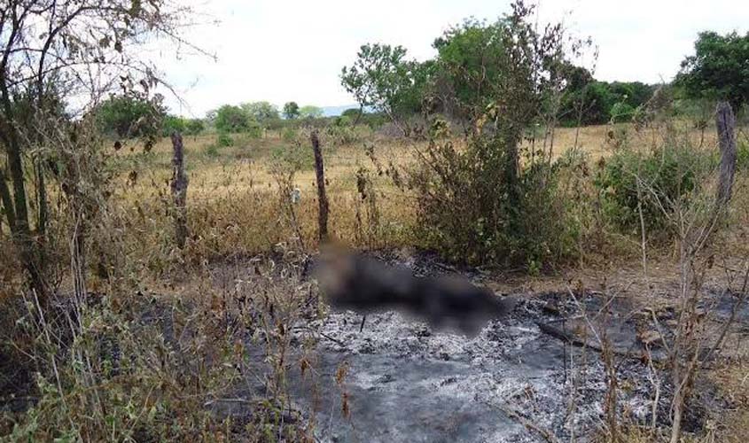 Corpo carbonizado é achado na BR-319