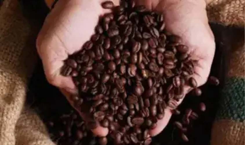 Café: confira as cotações desta segunda-feira
