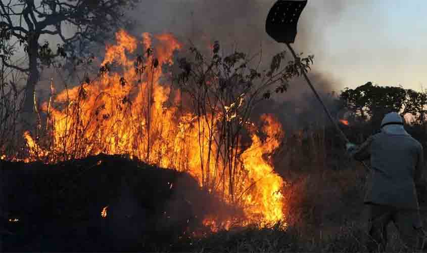 MPF aciona justiça para contratação de brigadistas contra incêndios