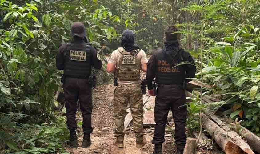 PF reprime queimadas criminosas no Parque Estadual de Guajará-Mirim, RESEX Rio Ouro Preto e Terra Indígena Igarapé Lage