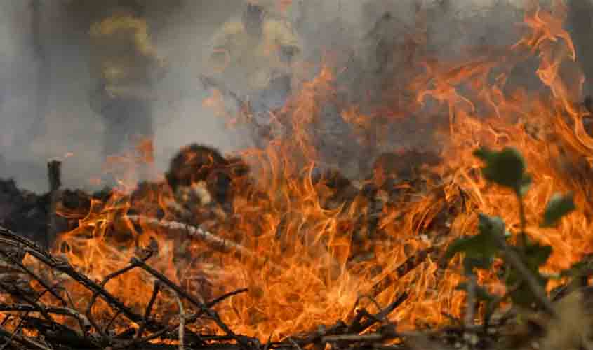 STF define regras para audiência de conciliação sobre incêndios no Pantanal e na Amazônia