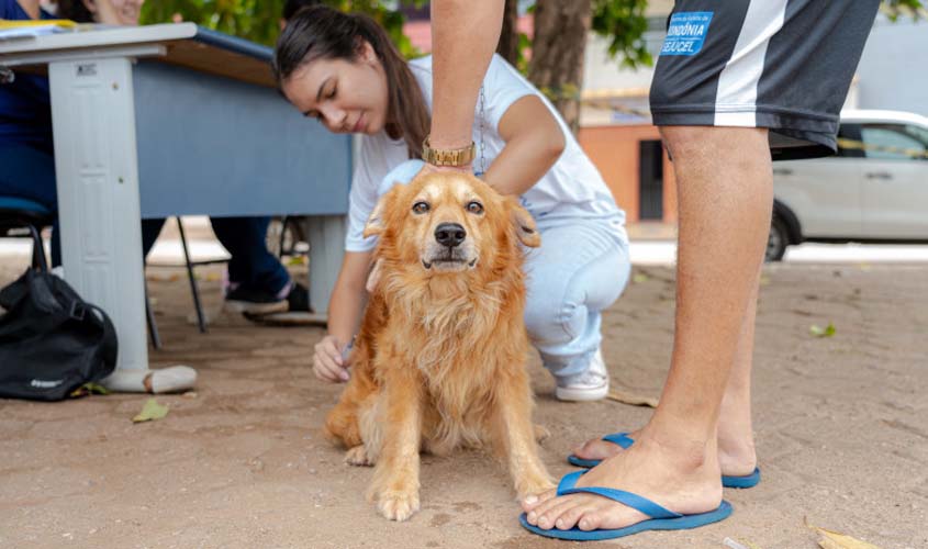 Setembro Caramelo terá Dia D de vacinação antirrábica
