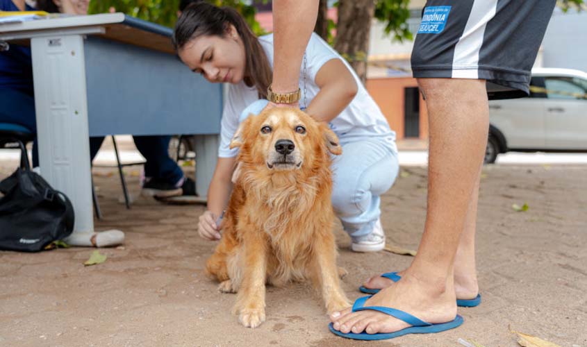 Mais de 33 mil cães e gatos são vacinados contra a raiva durante o Dia D