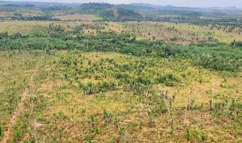 Ministério Público obtém reconhecimento da ilegalidade de associações de produtores rurais em Nova Mamoré e Guajará-Mirim