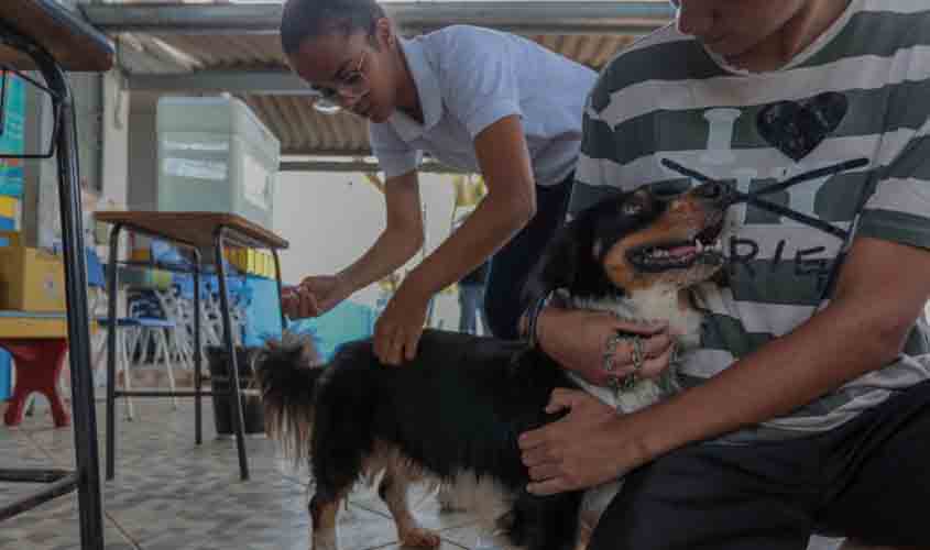 Vacina contra a raiva para cães e gatos continua disponível em Porto Velho