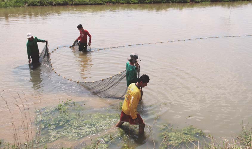 Pesca fica proibida até Março de 2018 em Rondônia durante o Período de Defeso