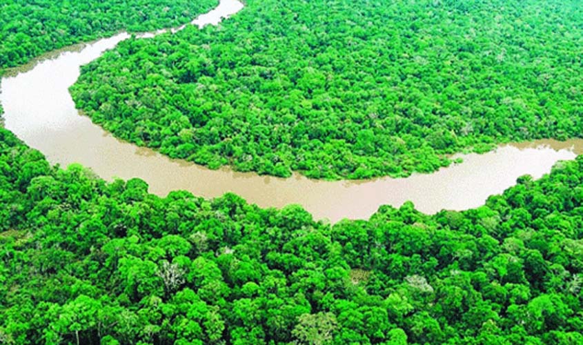 Fórum discute desenvolvimento sustentável da Amazônia   