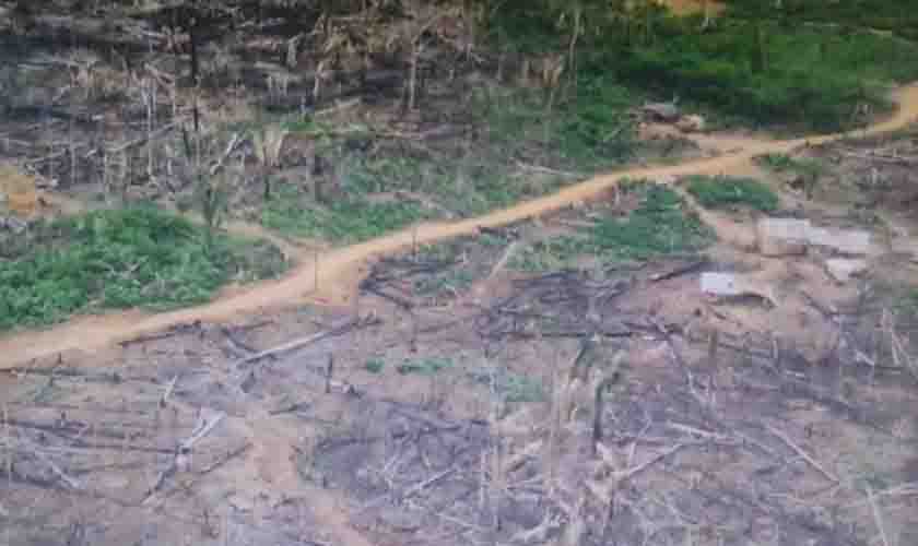 Governo de Rondônia realiza operação de reintegração de posse e cessa crime ambiental em larga escala