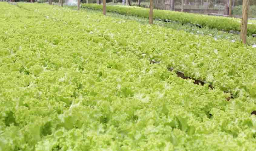 Semagri recebe verba estadual para aquisição de alimentos de produtores