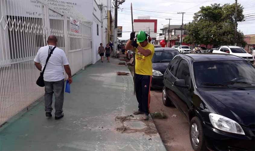 Prefeitura inicia corte de calçadas para mega plantio de árvores
