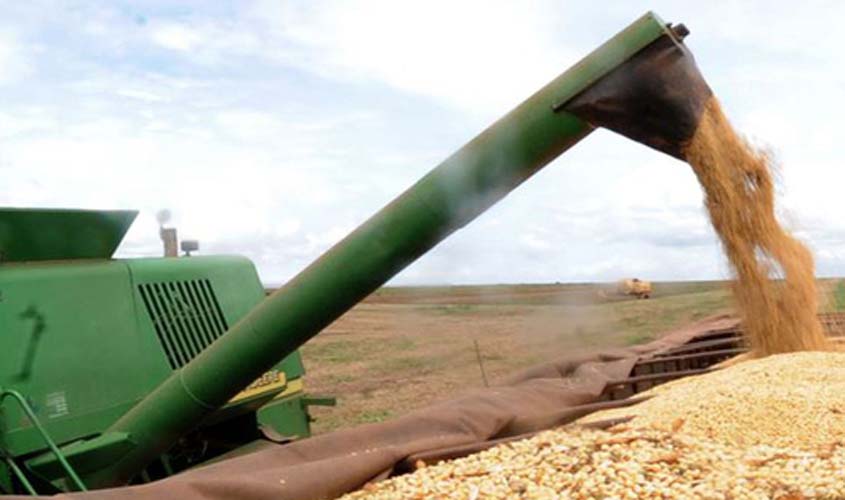 Preço da soja em alta nesta segunda-feira (4), no Paraná