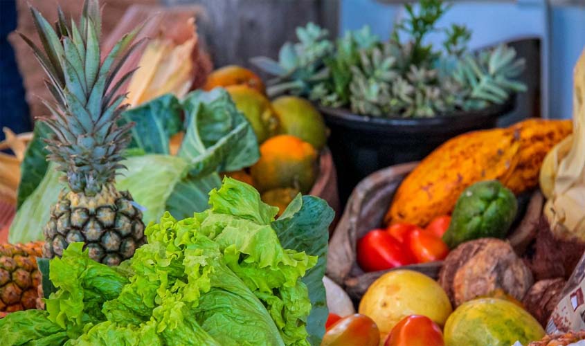 Feira promovida pelo Governo de Rondônia na capital do Estado fortalece agricultura familiar