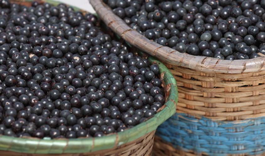 Abertura de mercados para o agro bate recorde histórico e cria oportunidades para novos produtos