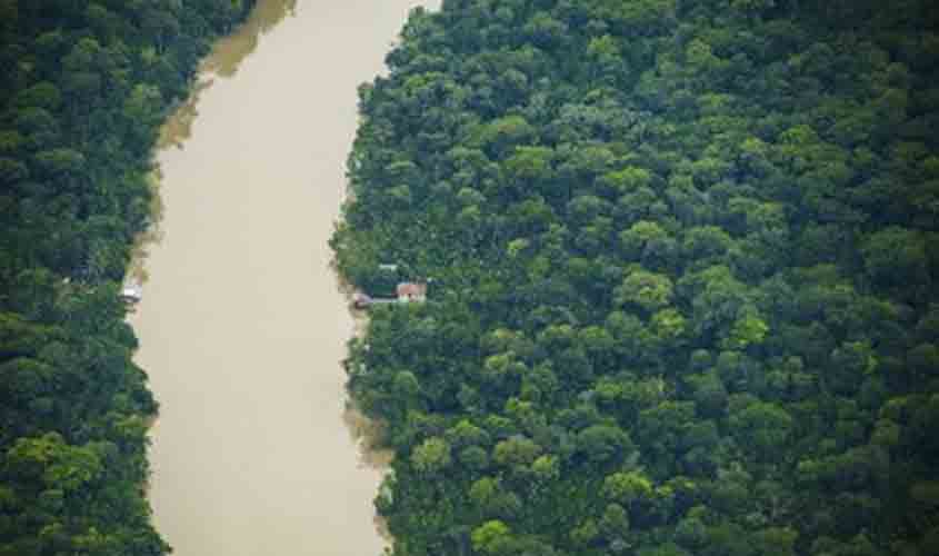 Lei que flexibiliza concessão de títulos fundiários vai legalizar grilagem na Amazônia Legal, alerta MPF