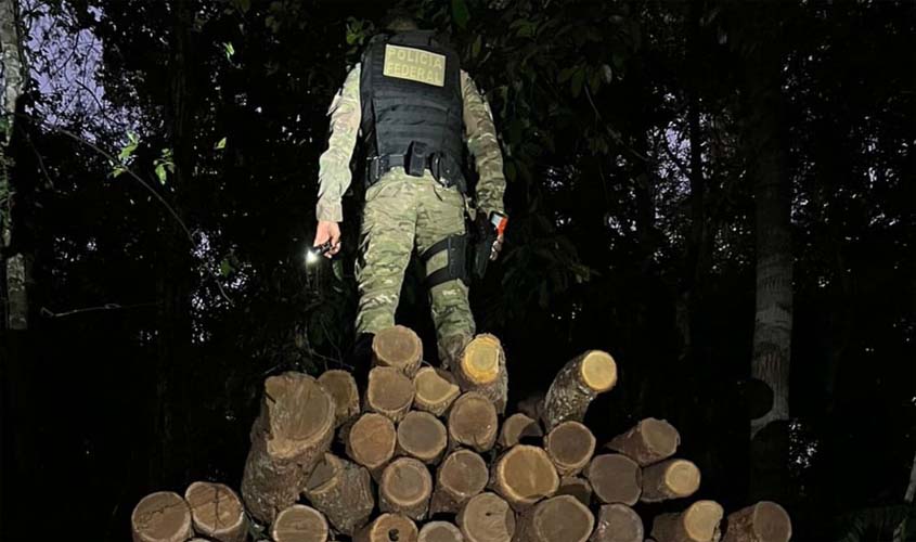 PF em Rondônia deflagra operação para combater crimes ambientais em Terra Indígena no sul do estado