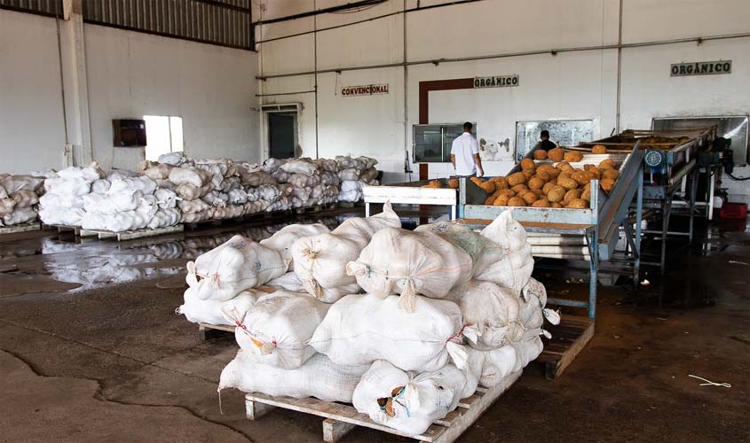 Cooperativismo fortalece o campo em Porto Velho