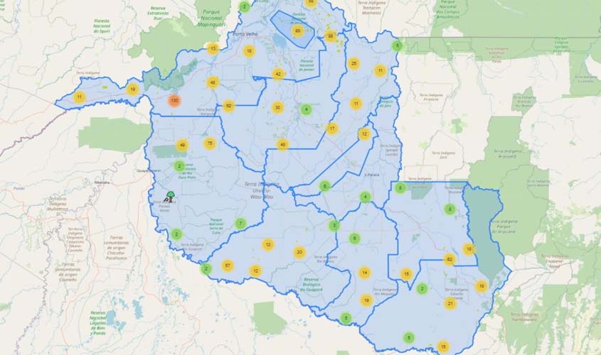 Dados da Sedam confirmam queda no desmatamento em Rondônia no primeiro semestre