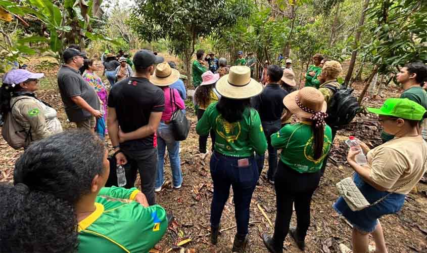 Interesse pelas abelhas sem ferrão movimenta o 1º Workshop da Amazônia Ocidental sobre Meliponicultura