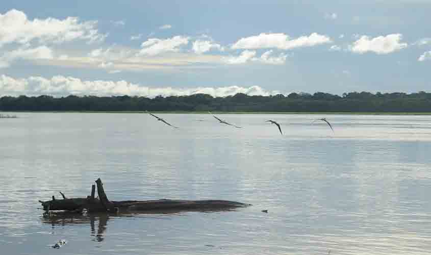 Seca: governo paga auxílio para pescadores da Região Norte