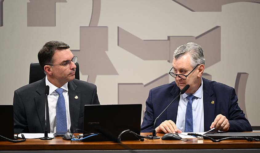 CSP aprova projeto que facilita compra de armas de fogo