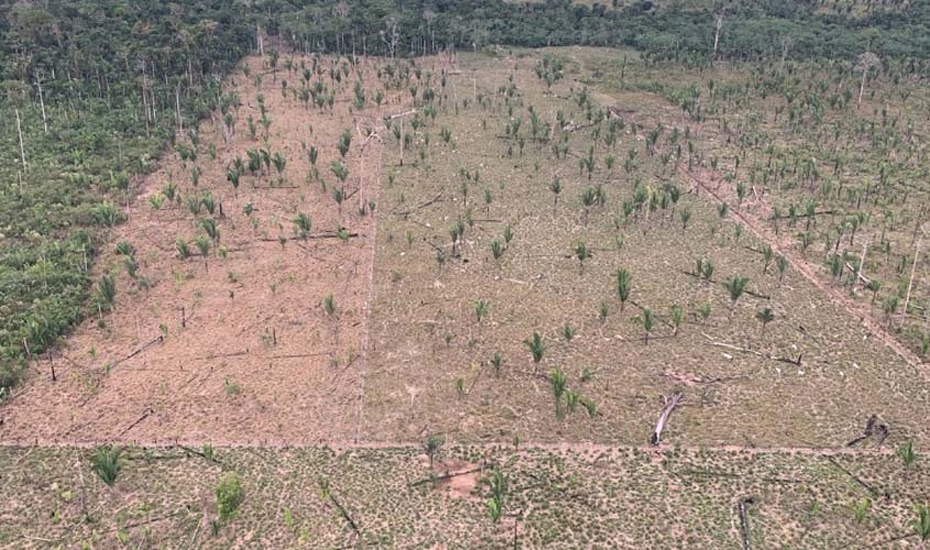 Justiça nega recurso de apelação e invasores do Parque Guajará-Mirim devem respeitar ação do MPRO