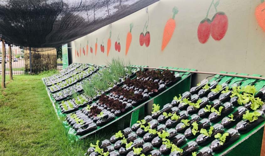 Educação Profissional inaugura horta hidropônica