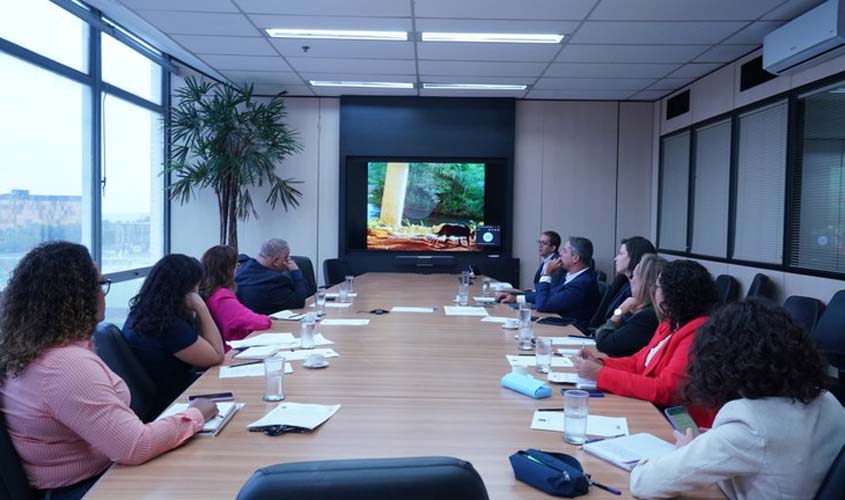 Grupo de trabalho do Ministério dos Transportes avança no debate sobre a recuperação da BR-319/AM/RO