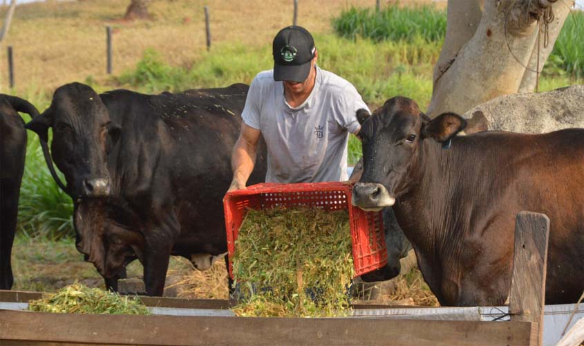 Gestão e inovação fortalecem assistência técnica rural em Rondônia