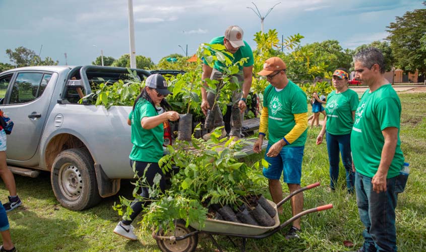 Prefeitura realiza plantio de novas mudas de árvores no Skate Parque em Porto Velho