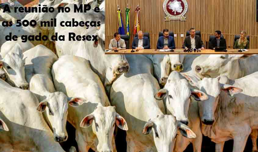 RECOMENDAÇÃO DO MP COM APOIO DO ESTADO IGNORA PESSOAS E SEUS BENS. TODOS DEVEM SAIR DA RESEX JACY PARANÁ