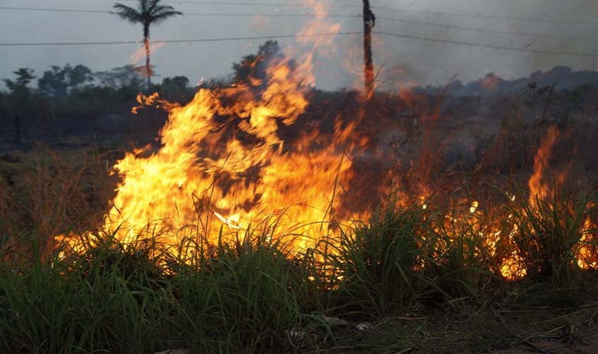 Operação Hiléia 1 pretende combater queimadas e desmatamentos em Rondônia