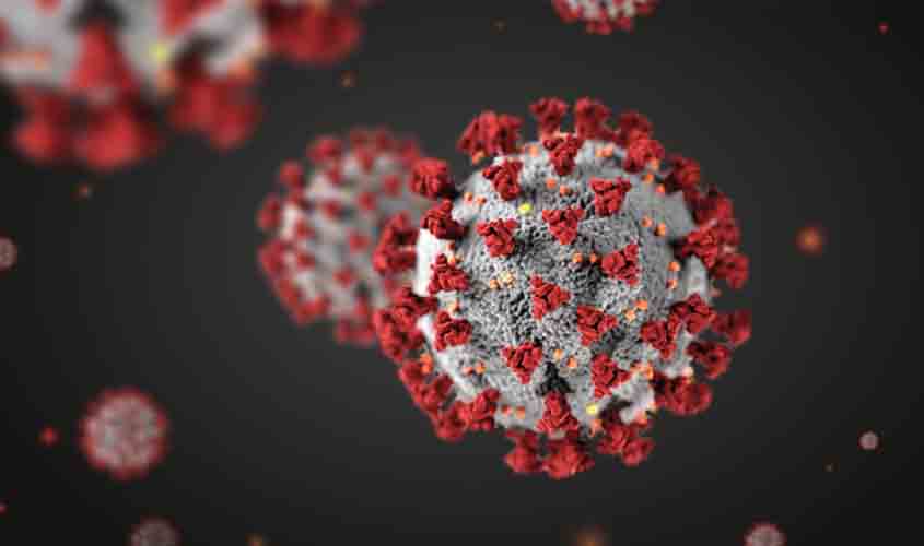 Covid-19: Rondônia com 190.995 casos e 4.327 mortes; Porto Velho registrou 24 mortes nas últimas 24h