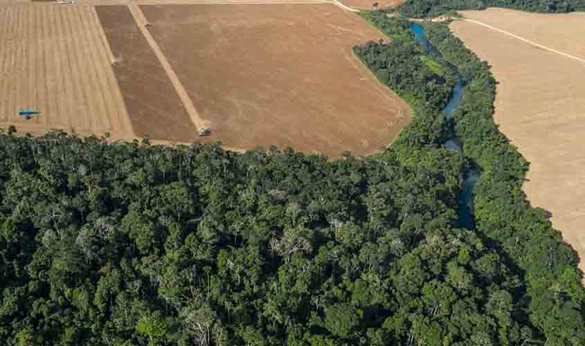 Licenciamento ambiental: relatores buscam convergência para projeto 