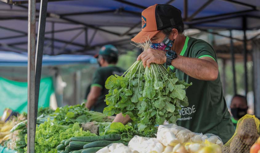 Produção de hortaliças no setor chacareiro atende mercado de Porto Velho