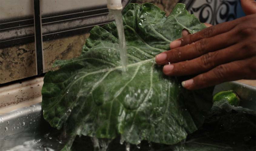 Higienização correta ajuda a eliminar agrotóxicos de alimentos; veja dicas de nutricionista