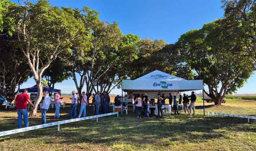 Dia de Campo Safrinha 2025 acontecerá dia 12 de junho