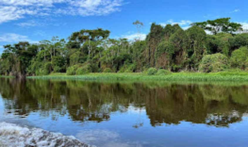 No Dia da Amazônia, Energisa reitera seu compromisso com a preservação do meio ambiente