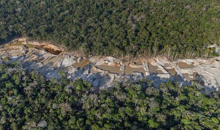 Dia da Amazônia: garimpo ilegal devasta áreas potegidas do bioma para além de terras indígenas