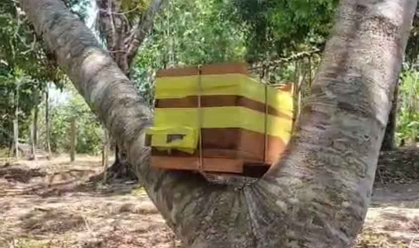 Sema inaugura santuário para abelhas no Parque Natural Raimundo Paraguassu