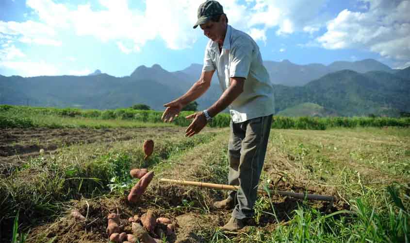 Bolsa Família: trabalhador contratado por safra poderá manter benefício social