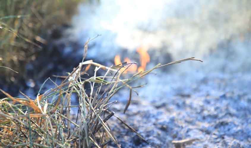 Prefeitura reforça canais de denúncia e destaca redução recorde de queimadas