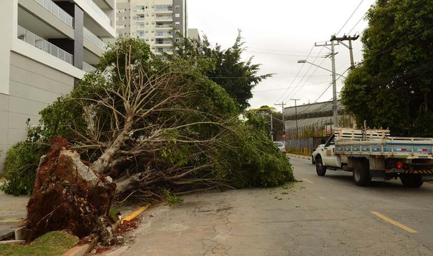 Distribuidoras de energia lançam campanha sobre riscos de acidentes