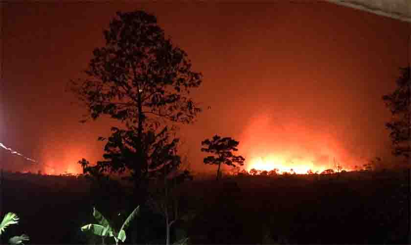 PF prende suspeito de tocar fogo em reserva florestal em Rondônia