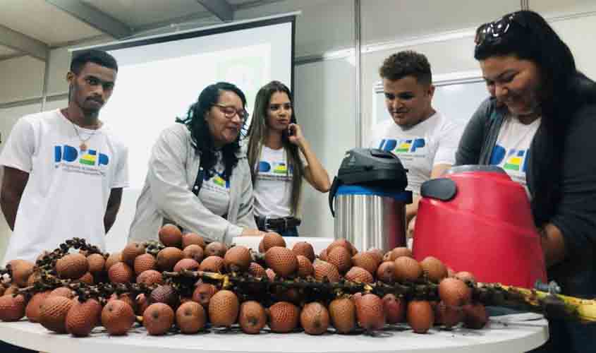 Rondônia ampliou oferta de cursos profissionalizantes voltados à bioeconomia e adquiriu mais duas escolas móveis