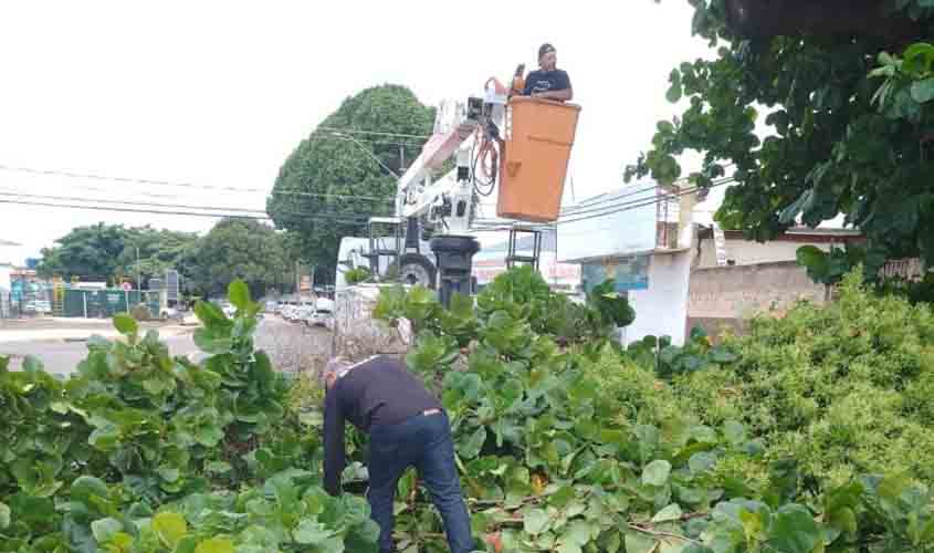 Prefeitura de Porto Velho realiza poda de árvores no bairro Nova Porto Velho