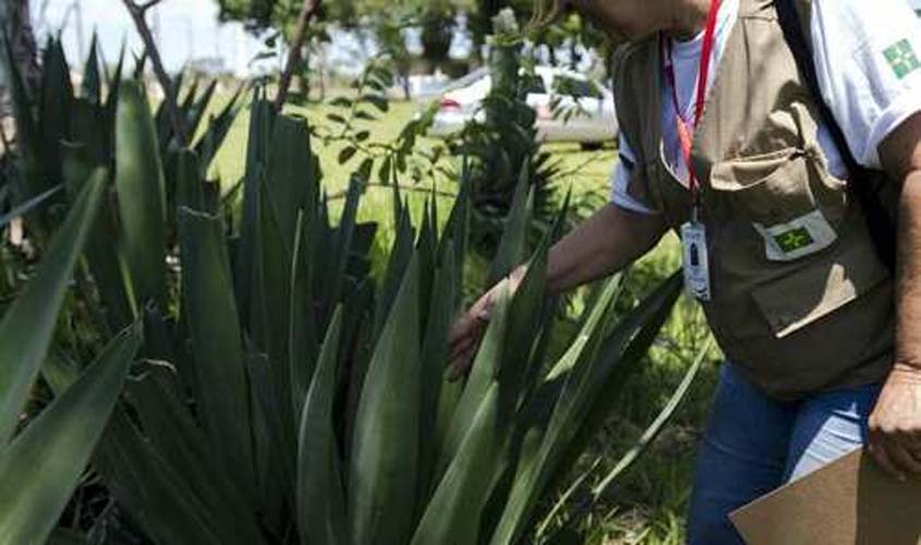 Aumento dos casos de dengue reforça papel dos agentes no combate ao mosquito