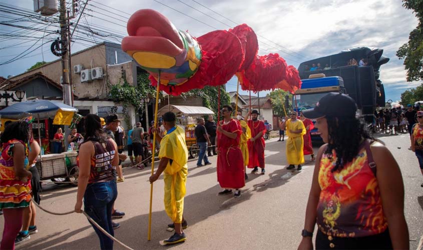 Porto Velho terá desfile de quatro blocos no fim de semana