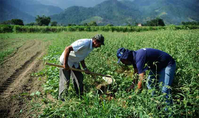 Pronaf: BASA projeta atender 30 mil famílias com R$ 2,5 bi em financiamentos, em 2025