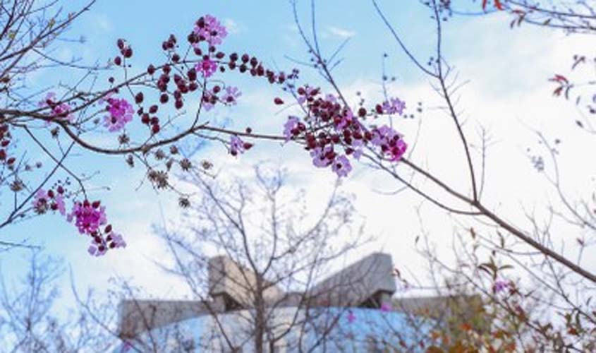 Distribuidoras não têm direito a crédito do ICMS na compra de álcool anidro