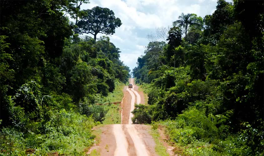 Amazônia: degradação afeta área três vezes maior que desmatamento